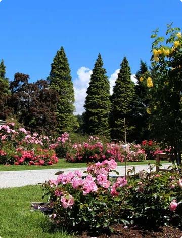 hostel park domzale okolica arboretum volcji potok