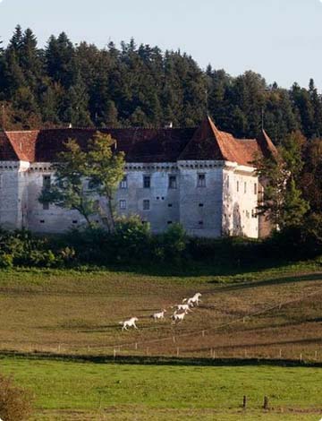 hostel park domzale okolica grad krumperk