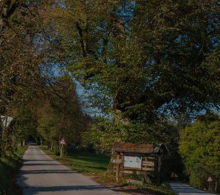 hostel park domzale okolica